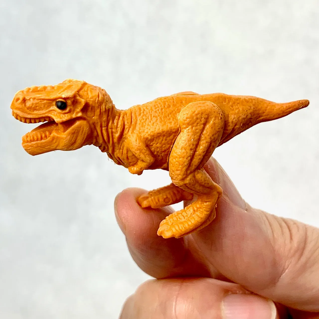 380071 IWAKO DINOSAUR ERASERS-30