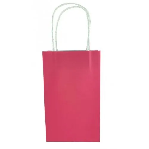 5pk Fuchsia Pink Paper Party Gift Bags