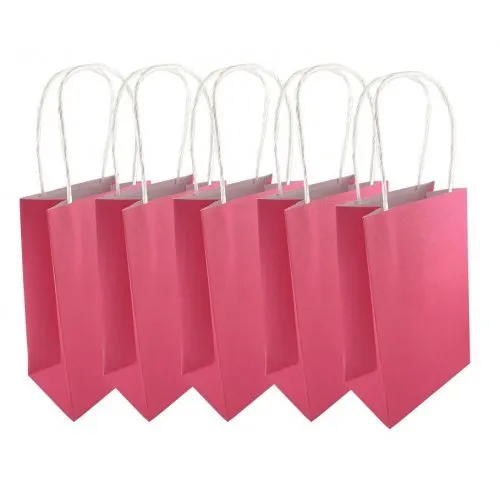 5pk Fuchsia Pink Paper Party Gift Bags