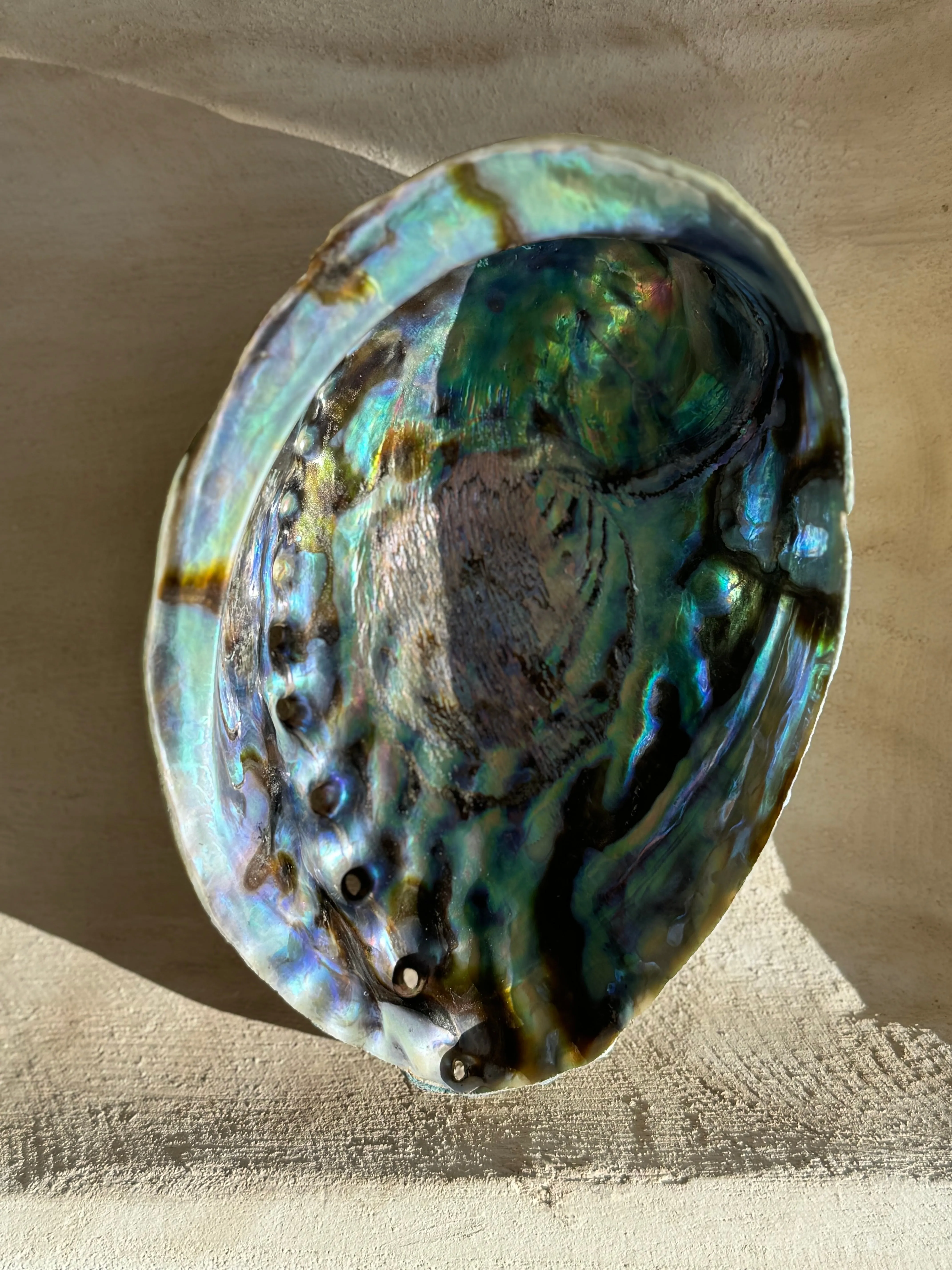 Abalone Shell Vessel - Large