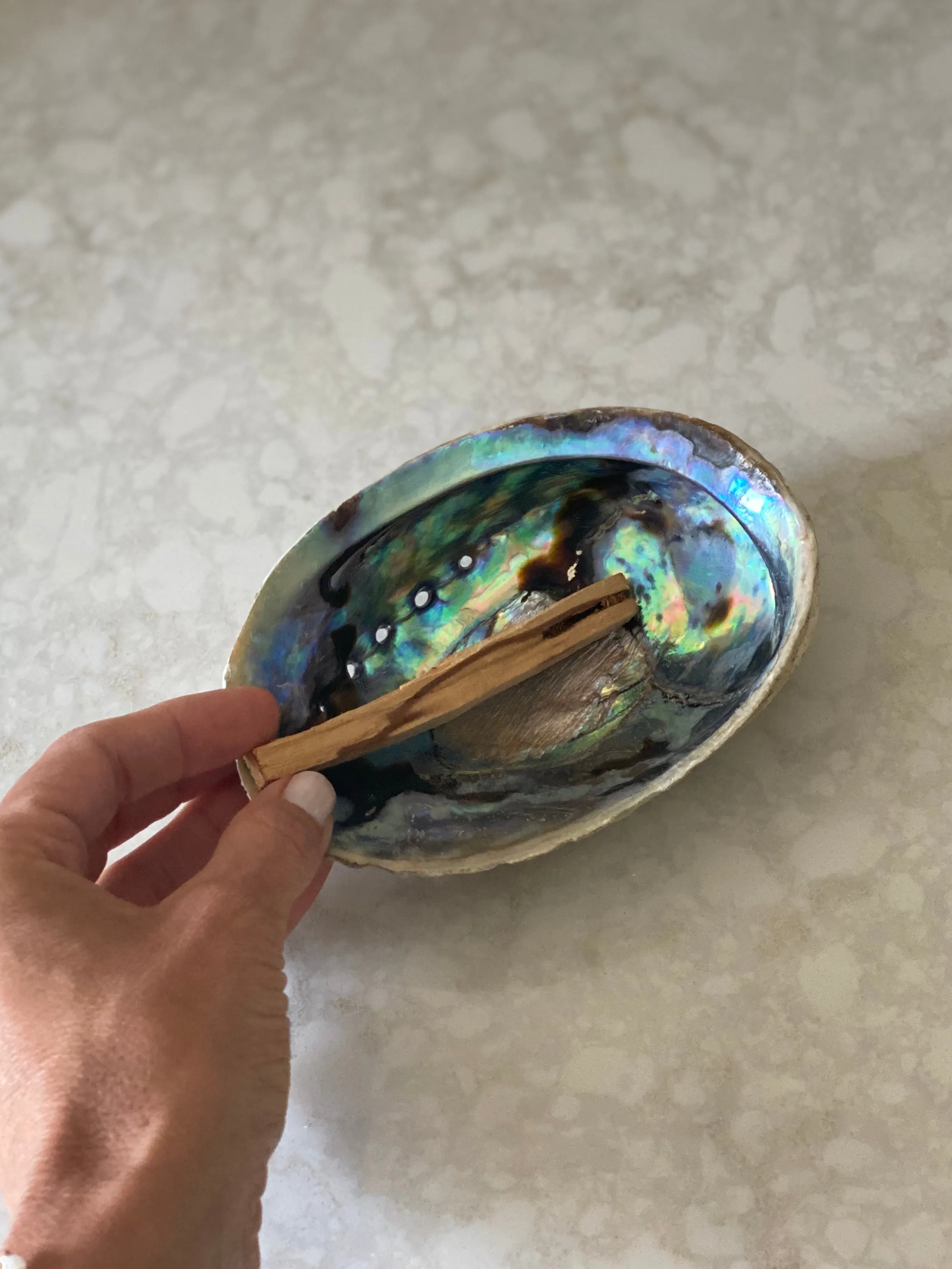 Abalone Shell Vessel - Large