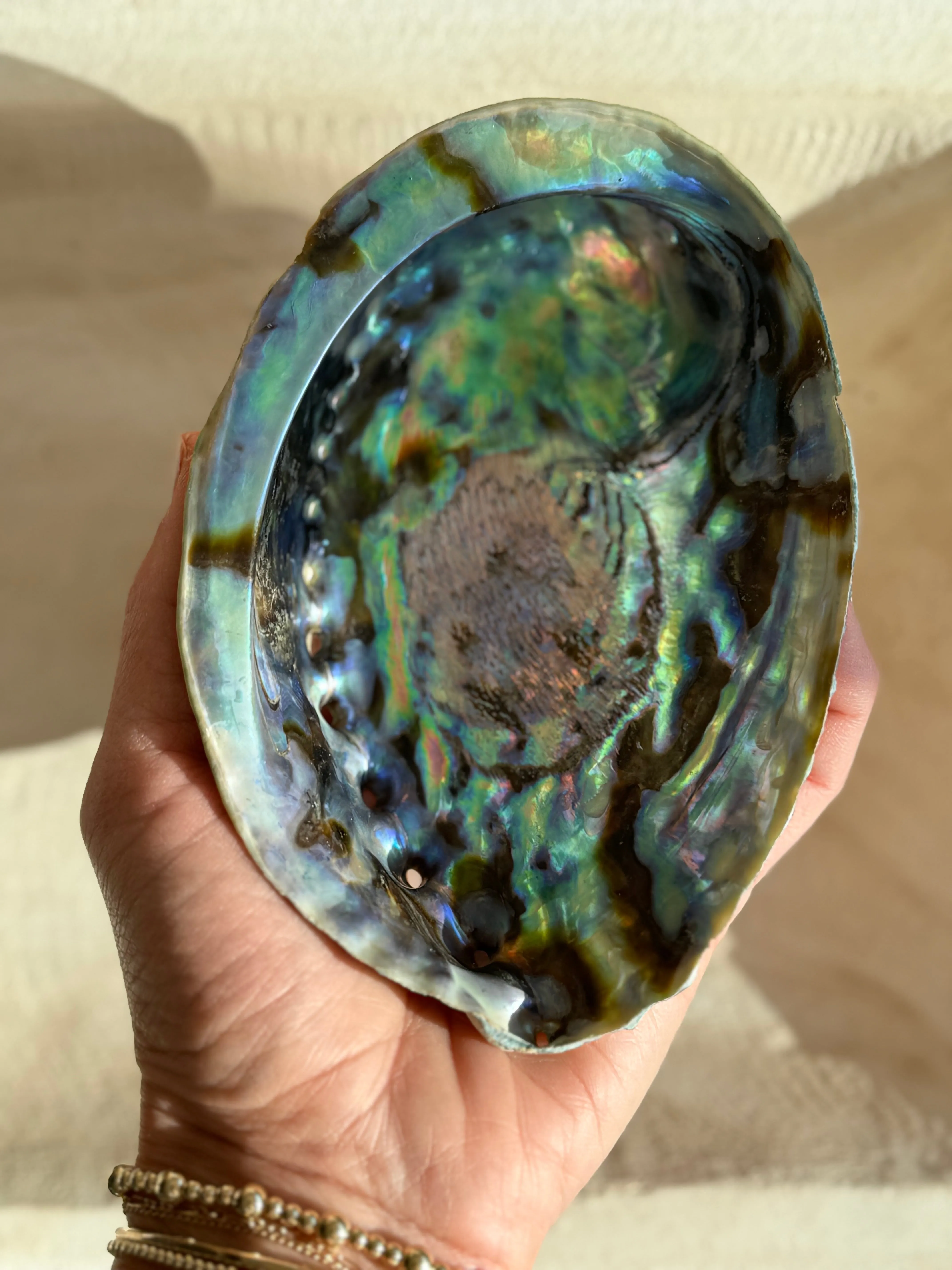 Abalone Shell Vessel - Large