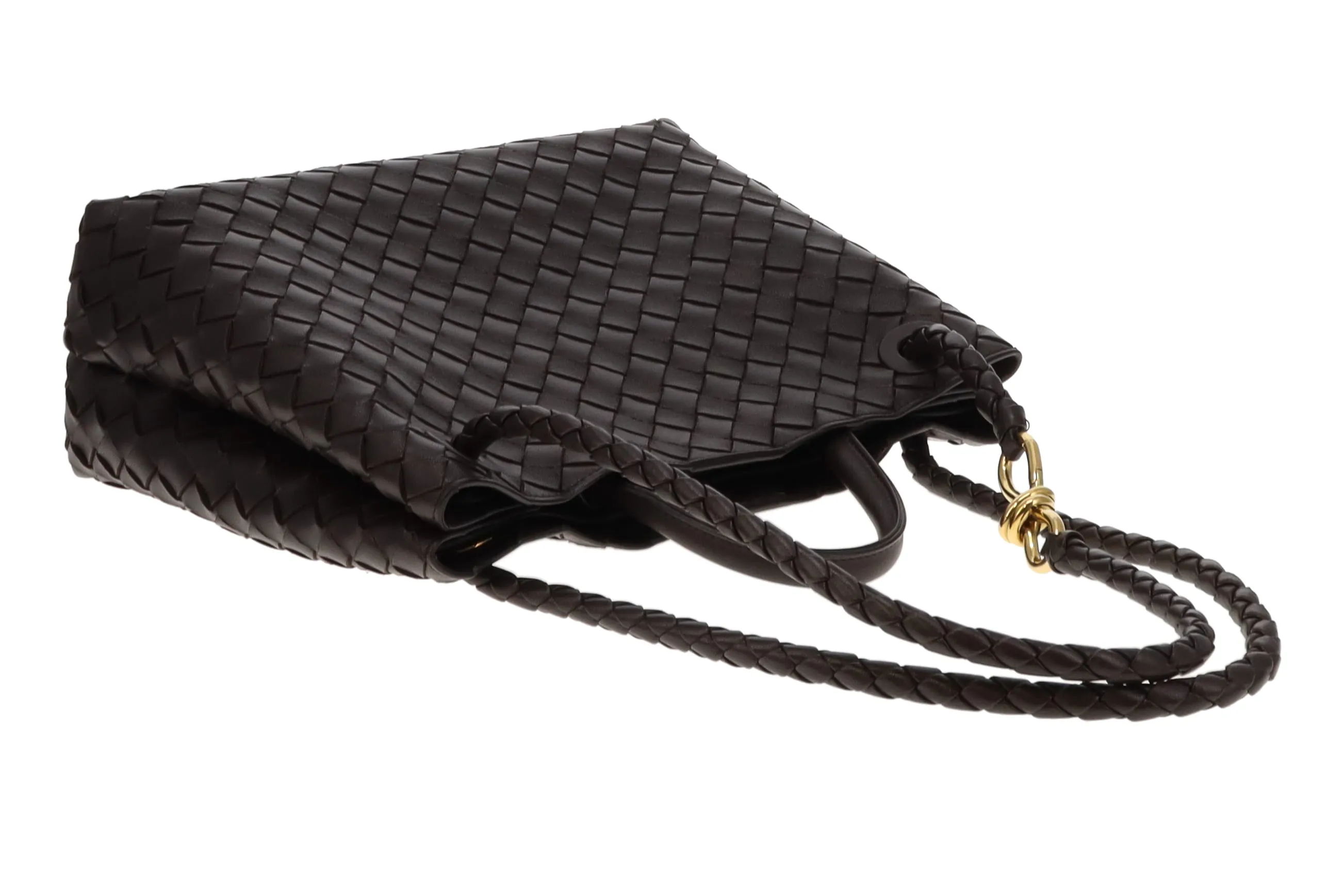 Bottega Veneta Fondant Andiamo Medium (RRP €4500)