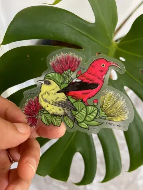 Hawaii Forest Bird Clear Sticker - 'Akeke'e & 'I'iwi