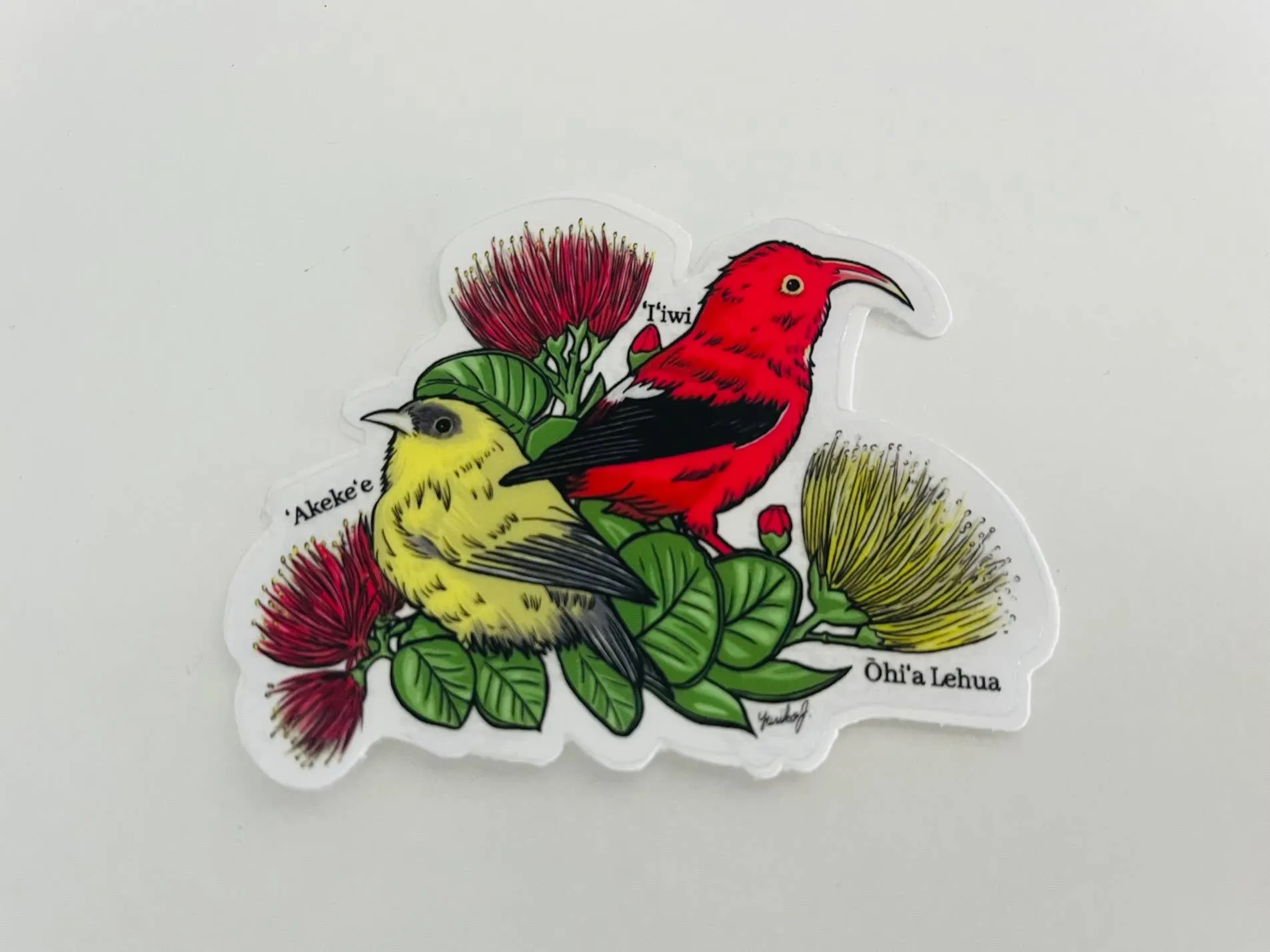 Hawaii Forest Bird Clear Sticker - 'Akeke'e & 'I'iwi