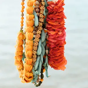 Lei Aloha, Celebrating the Vibrant Flowers by Meleana Estes