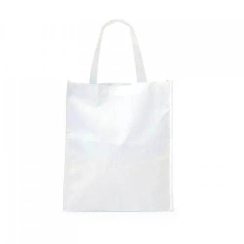 Non-Woven Bag (34x29x8)